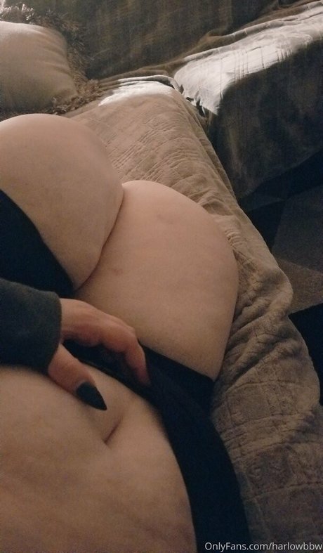 harlowbbw nice star archive