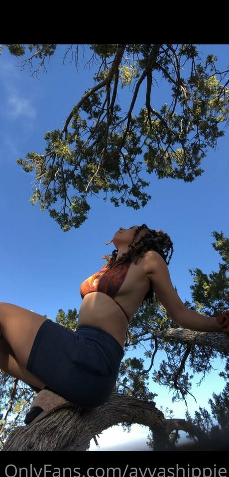 ayvashippie adult model pic