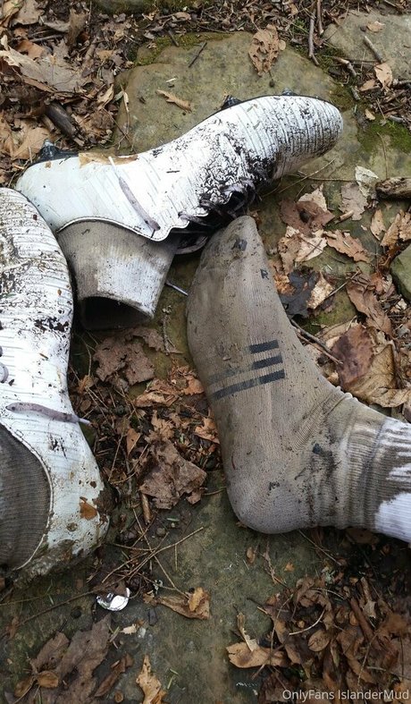 islandermud star top pics