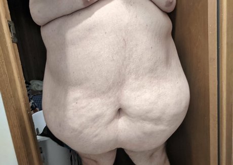 zadyas toybox star art photos