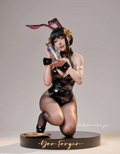 Nekoneko JX best model photos