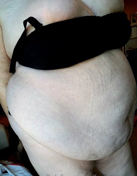 feedchromie pornstar free archive