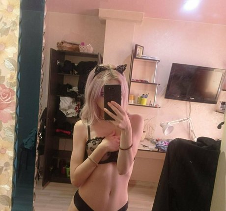 dasha art pornstar nude galleries