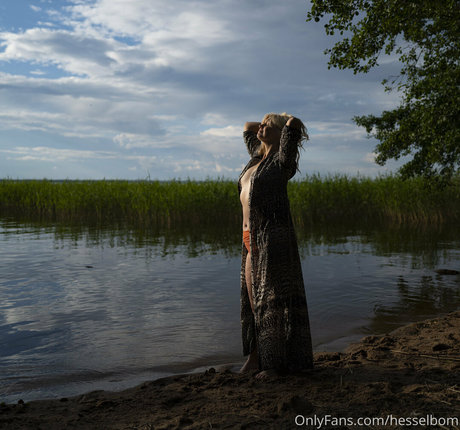 hesselbom star beautiful img