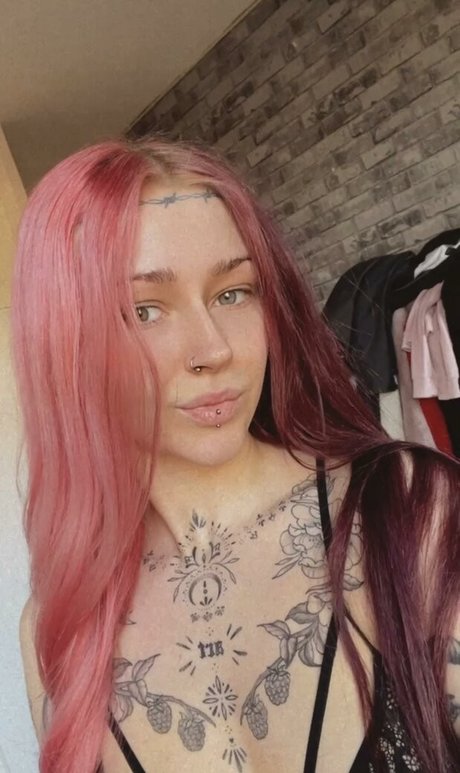 xo nicolavictoria best star pictures