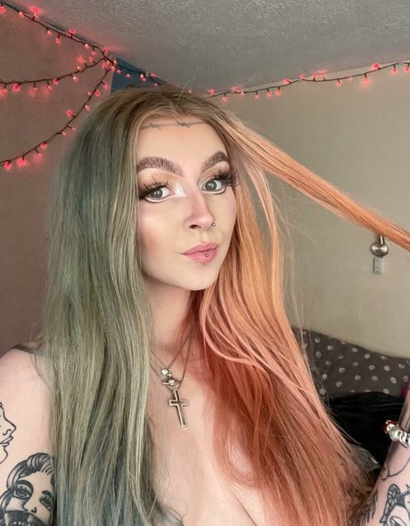 xo nicolavictoria star art archive