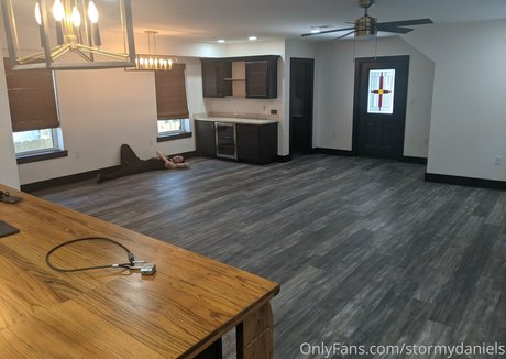 stormydaniels art model img