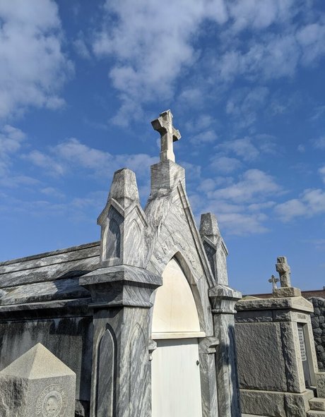 stormydaniels star adult galleries