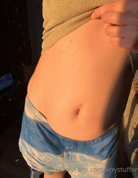 tinystuffer high quality pornstar pics