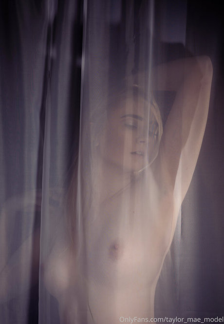 taylor mae model art model gallery