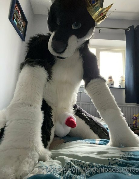 knotnloadstudios best star pic