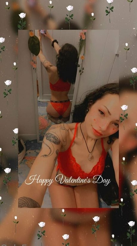 blossoming vixen beautiful star pictures