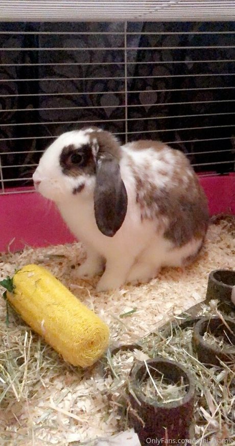 lothianjamie model art image