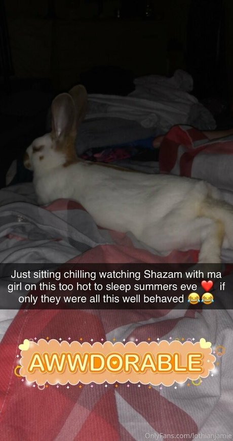 lothianjamie hot pornstar gallery