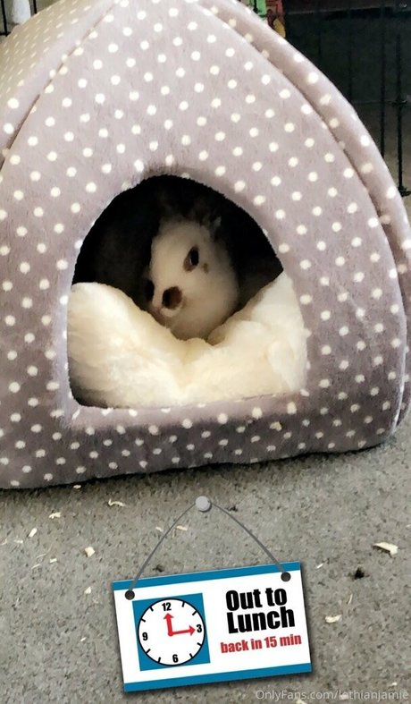 lothianjamie model erotic photos