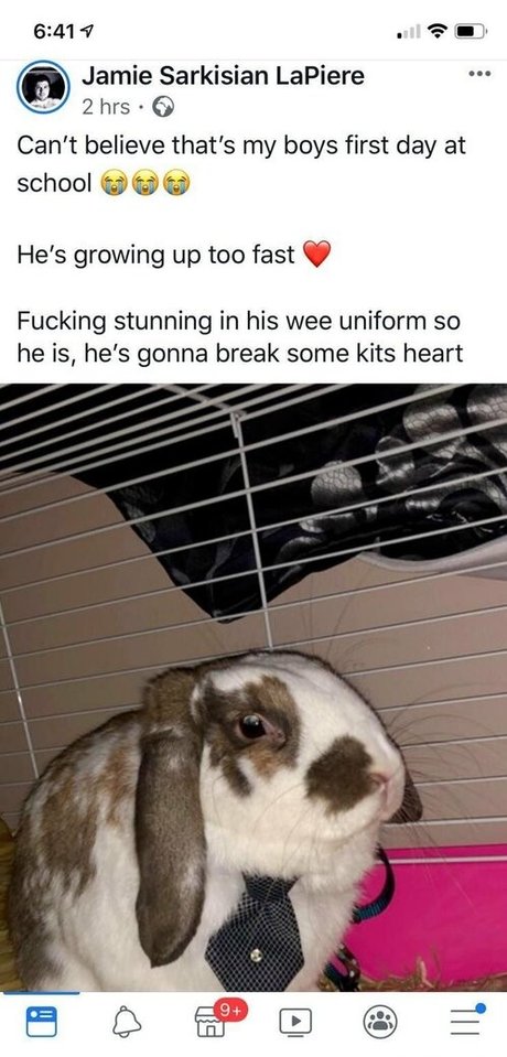 lothianjamie adult model image