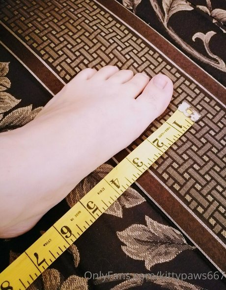 kittypaws667 star hd pic