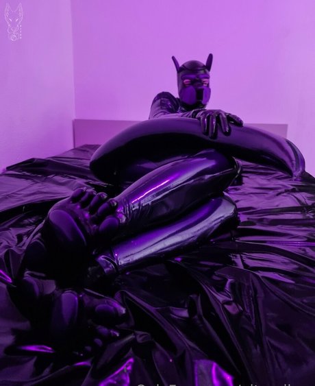 pitourikou art star images