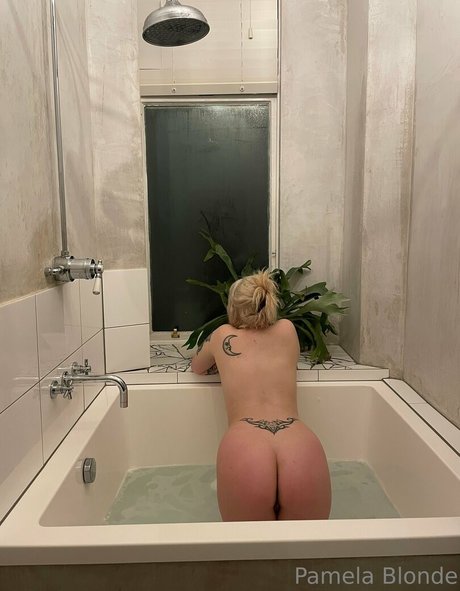 servepamela pornstar sexy photos