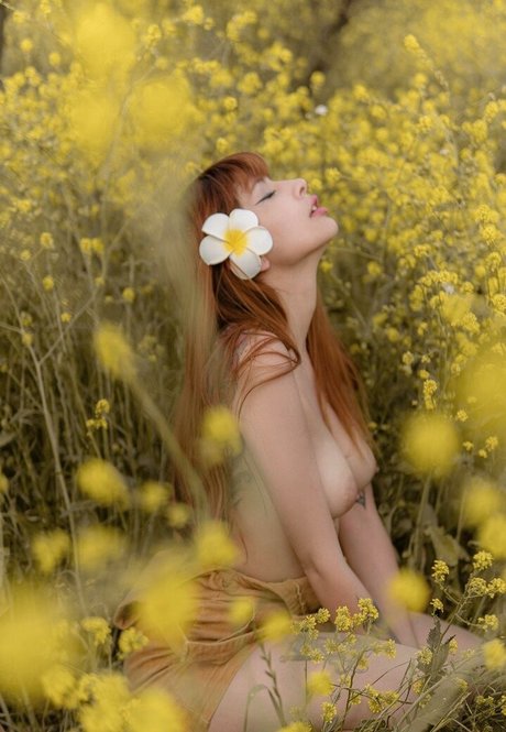 Dea Afrodite perfect star gallery