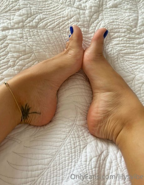 lilysvibe model pornographic images