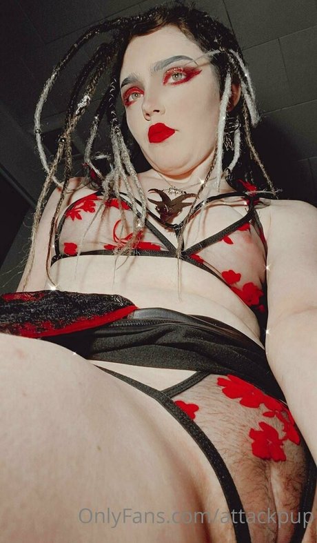 attackpup star hd photo