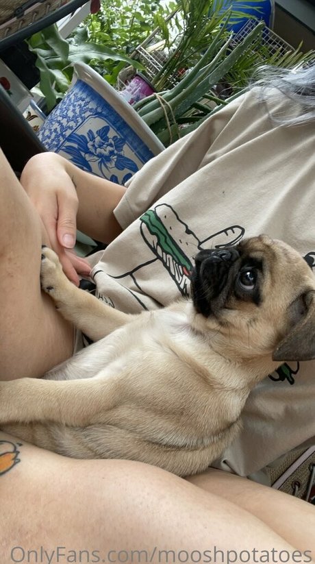 mooshpotatoes star exclusive pic