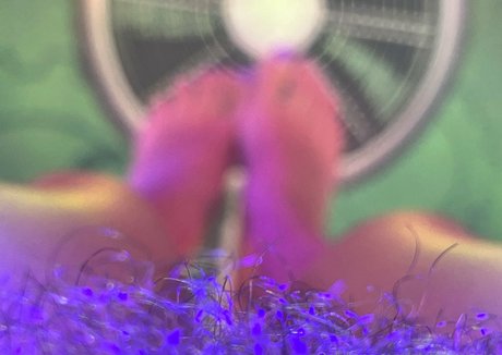 gtslongpiggies star high quality pictures