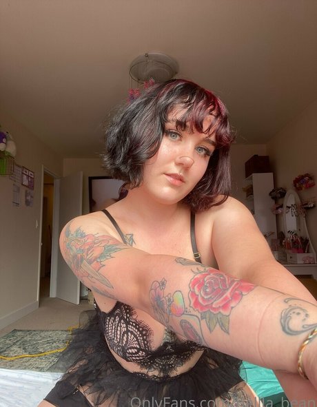 bellla bean best star galleries