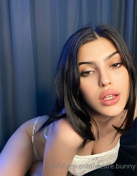 desire bunny star beautiful gallery