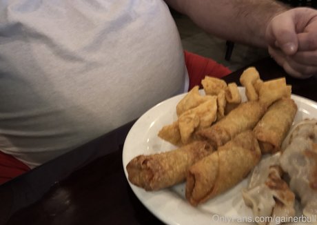 gainerbull art model picture