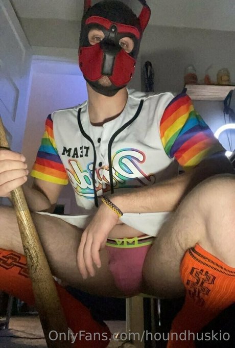 houndhuskio star beautiful image