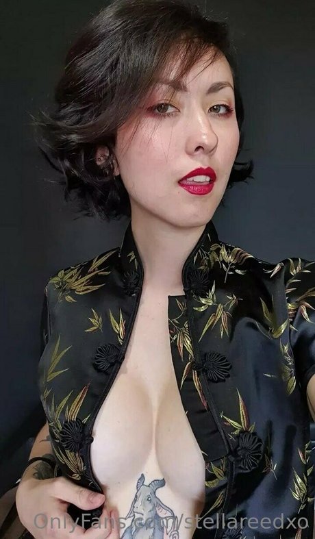 stellareedxo hd pornstar archive