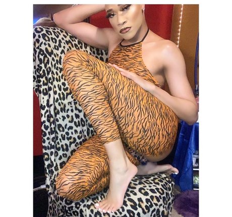 darirose pornstar hd gallery