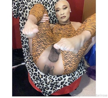 darirose actress image