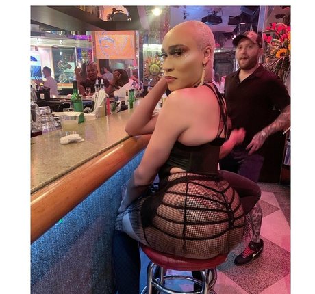 darirose star nice pictures