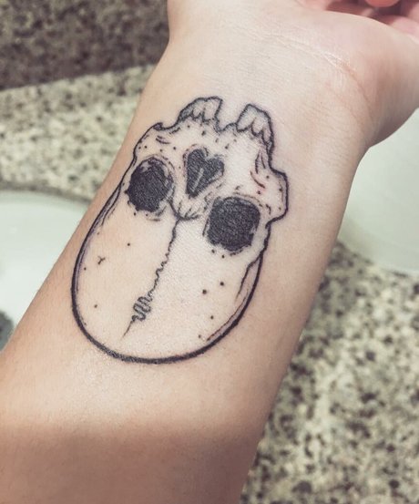 Kami sama xxx star image