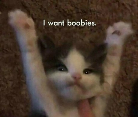 beatskins hd star pictures