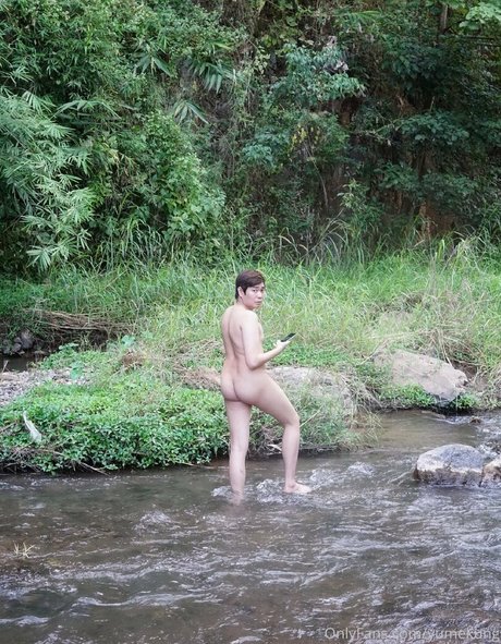 yumekung star perfect photo