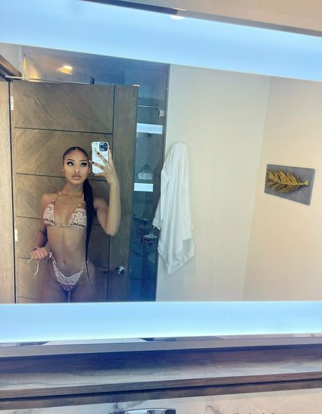 Isla Biza free model img