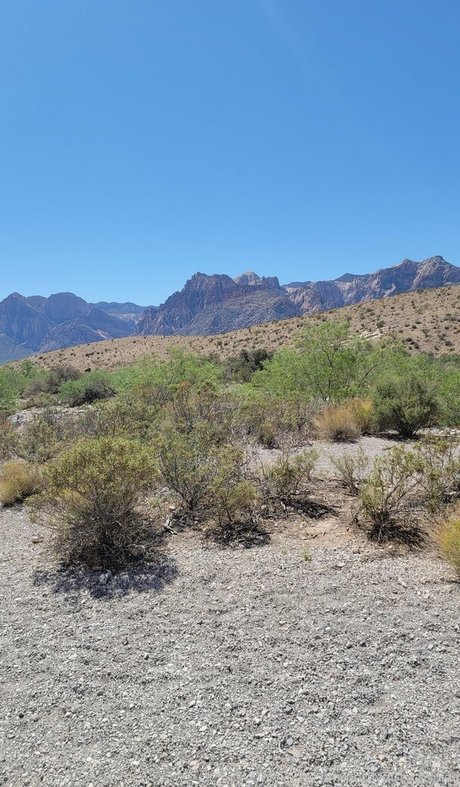 NerdyDirtyCosplay star nudes archive