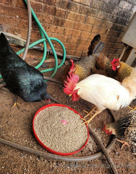 morbidmist beautiful actress pics