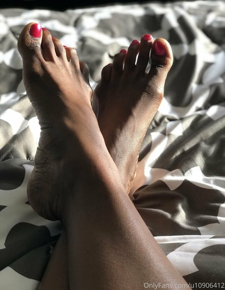 cococookie model best img