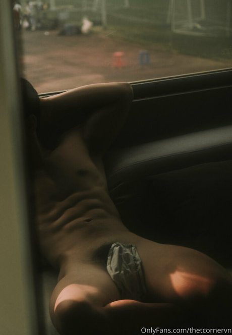 thetcornervn adult model pics