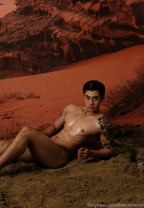 thetcornervn model pics