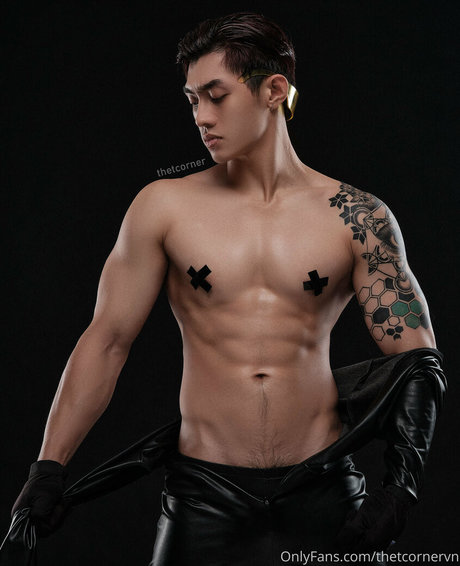 thetcornervn nudes pornstar gallery