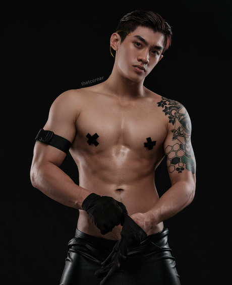 thetcornervn naked star pic