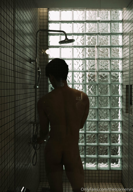 thetcornervn sex actress archive