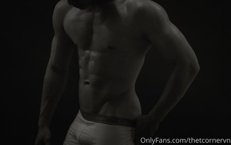 thetcornervn model adult img