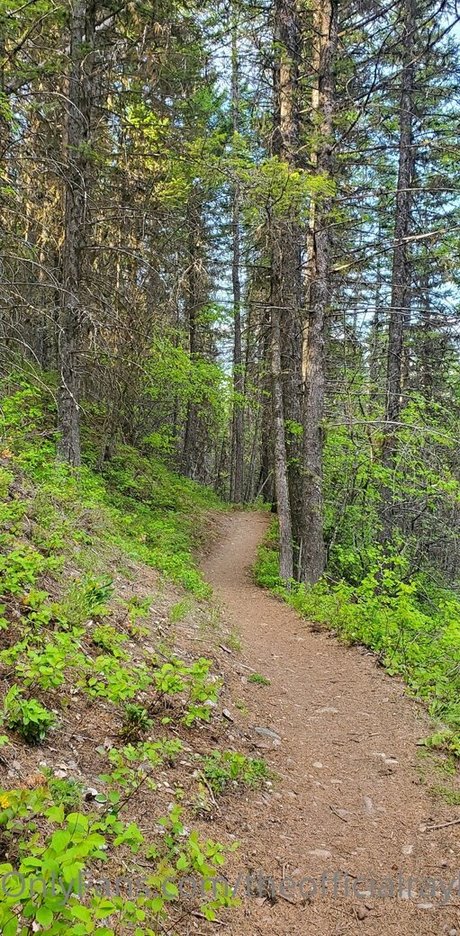 creampie milf onlyfans sexy nude photo